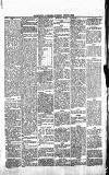 Blairgowrie Advertiser Saturday 07 August 1880 Page 5