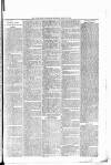 Banffshire Advertiser Thursday 23 March 1882 Page 7