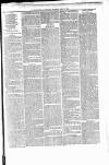 Banffshire Advertiser Thursday 27 April 1882 Page 7