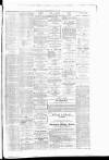 Coatbridge Express Wednesday 09 June 1886 Page 3