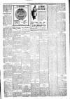 Coatbridge Express Wednesday 31 October 1917 Page 3