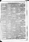 Coatbridge Leader Saturday 05 February 1910 Page 3