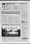 Strathearn Herald Friday 12 November 1993 Page 17