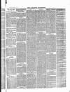 Dalkeith Advertiser Thursday 13 February 1879 Page 3