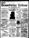 Devon Valley Tribune Tuesday 01 April 1902 Page 1