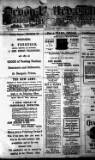Devon Valley Tribune Tuesday 11 January 1916 Page 1