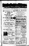 Devon Valley Tribune Tuesday 18 February 1919 Page 1