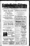 Devon Valley Tribune Tuesday 01 April 1919 Page 1