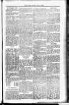 Devon Valley Tribune Tuesday 15 July 1919 Page 3