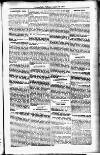 Devon Valley Tribune Tuesday 26 August 1919 Page 3