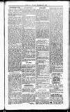 Devon Valley Tribune Tuesday 30 November 1920 Page 3