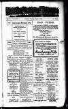 Devon Valley Tribune Tuesday 16 October 1923 Page 1