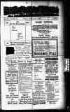 Devon Valley Tribune Tuesday 25 March 1924 Page 1