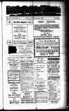 Devon Valley Tribune Tuesday 15 January 1924 Page 1