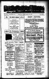 Devon Valley Tribune Tuesday 29 January 1924 Page 1