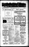 Devon Valley Tribune Tuesday 19 February 1924 Page 1