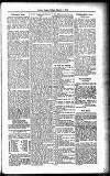 Devon Valley Tribune Tuesday 04 March 1924 Page 3