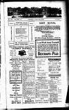 Devon Valley Tribune Tuesday 01 July 1924 Page 1