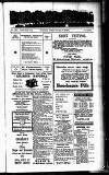 Devon Valley Tribune Tuesday 18 November 1924 Page 1