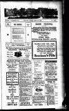 Devon Valley Tribune Tuesday 02 December 1924 Page 1