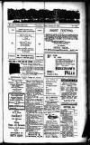 Devon Valley Tribune Tuesday 20 January 1925 Page 1
