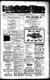 Devon Valley Tribune Tuesday 10 February 1925 Page 1