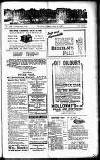 Devon Valley Tribune Tuesday 30 June 1925 Page 1