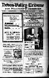 Devon Valley Tribune Tuesday 03 March 1936 Page 1