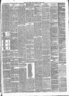 Leith Burghs Pilot Saturday 08 April 1882 Page 3