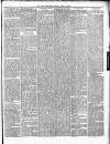 Leith Burghs Pilot Saturday 05 March 1887 Page 5