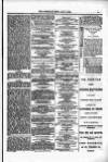 Christian News Saturday 09 May 1868 Page 13