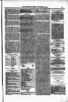 Christian News Saturday 28 November 1868 Page 13