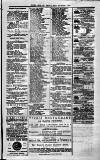 Clyde Bill of Entry and Shipping List Thursday 17 May 1883 Page 3