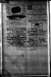 Clyde Bill of Entry and Shipping List Tuesday 03 April 1888 Page 8