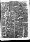 Daily Review (Edinburgh) Saturday 12 November 1864 Page 3