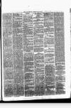 Daily Review (Edinburgh) Thursday 03 May 1866 Page 3