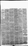 Daily Review (Edinburgh) Friday 11 May 1866 Page 3