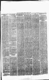 Daily Review (Edinburgh) Friday 29 June 1866 Page 3