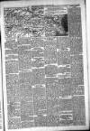 Daily Review (Edinburgh) Thursday 02 January 1879 Page 5
