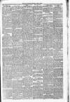 Daily Review (Edinburgh) Saturday 12 April 1879 Page 5