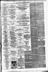 Daily Review (Edinburgh) Saturday 15 May 1880 Page 3