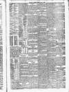 Daily Review (Edinburgh) Friday 14 May 1880 Page 6