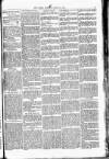 Clarion Saturday 27 August 1892 Page 5