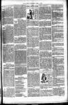 Clarion Saturday 01 April 1893 Page 5