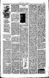 Labour Leader Saturday 27 June 1896 Page 3