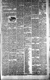 West Lothian Courier Saturday 13 January 1894 Page 5