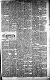 West Lothian Courier Saturday 24 March 1894 Page 5