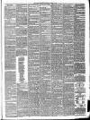 Arbroath Guide Saturday 24 April 1875 Page 3