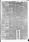 Arbroath Guide Saturday 23 March 1878 Page 3