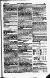 North British Agriculturist Wednesday 06 June 1860 Page 19